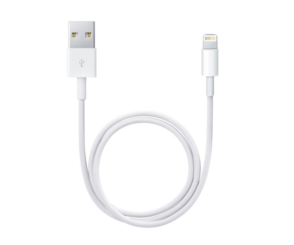 LIGHTNING TO USB CABLE (0.5 M)